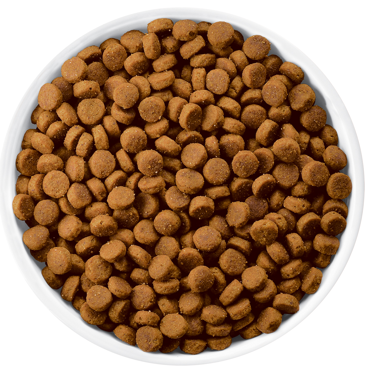 Cat food png. Корм для собак. Сухой корм для собак. Корм для кошек. Корм вид сверху.